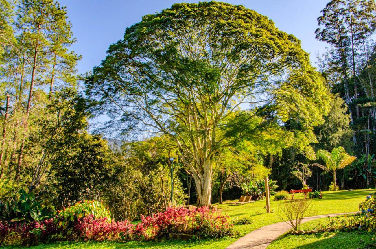 Pousada Pau Brasil Visconde De Maua Exteriör bild